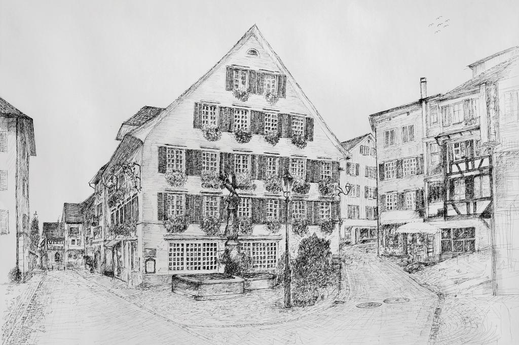 Romantik Hotel Schwan Horgen Bagian luar foto