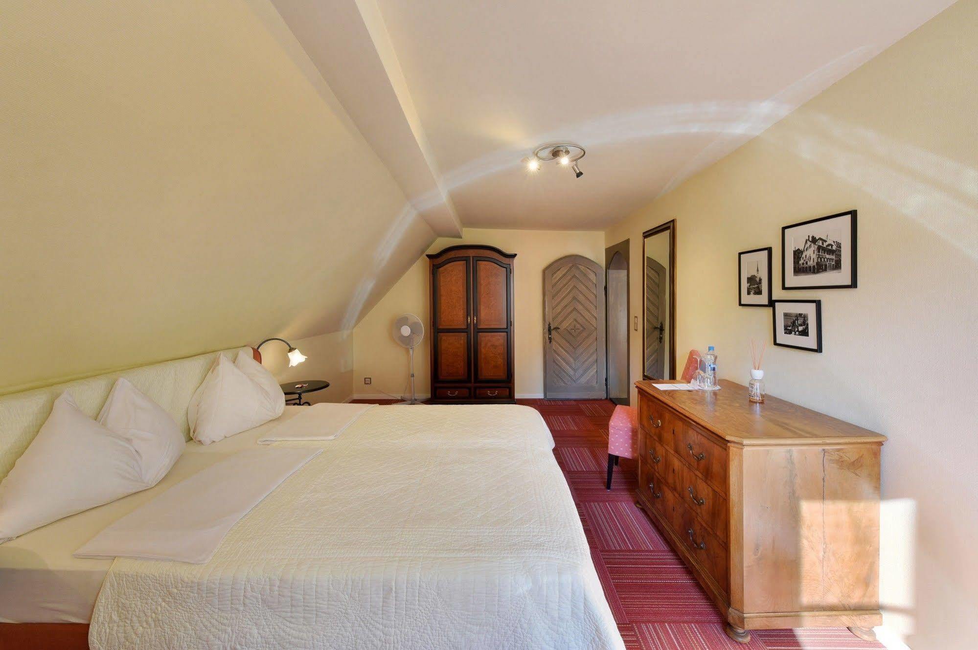 Romantik Hotel Schwan Horgen Bagian luar foto